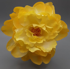 Vintage yellow peony for sale  Stephentown