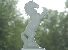 Steigendes pferd hengst gebraucht kaufen  Herxheim