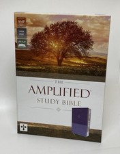 Purple zondervan amplified for sale  Lodi