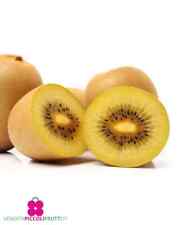 Pianta kiwi giallo usato  Montichiari
