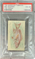 Red snapper 1910 for sale  Pike Road