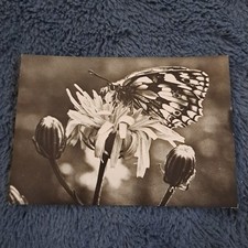 Tier postkarte 1969 gebraucht kaufen  Hamburg