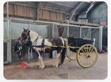 Horse carts carriages for sale  MILLOM