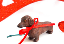 Dachshund dog puppy for sale  Palm City