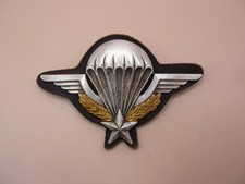 Insigne militaire brevet d'occasion  Saint-Pierre-d'Oléron