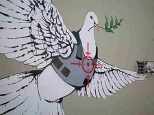 Dove bullet proof for sale  UK