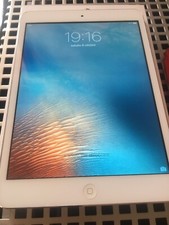 Ipad mini wifi usato  Viareggio