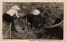 Old postcard vegetable d'occasion  Expédié en Belgium