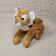 Yomiko elliot bengal for sale  Santa Clara