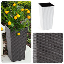 Polyrattan blumenkübel einsat gebraucht kaufen  Gartz