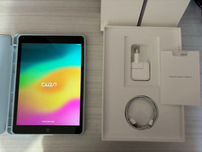 Apple ipad 9.7 usato  Pomezia