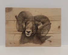 Big horn ram for sale  Glenwood
