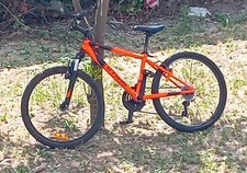 Bici mtb rockrider usato  Acerra