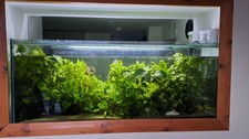 430 ltr fishtank for sale  NEWCASTLE UPON TYNE