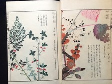 Japon edo illustrated d'occasion  Expédié en France