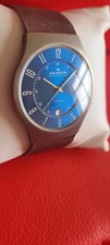 skagen titanium for sale skagen titanium for sale PENARTH
