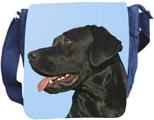 Labrador retriever schultertas gebraucht kaufen  Barby