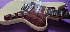 Hohner professional gitarre gebraucht kaufen  Mannheim