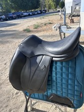Voltaire adelaide dressage for sale  Carbondale