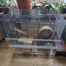 Hamster kleintierkäfig fast gebraucht kaufen  Freudenberg