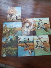 Vintage 1950s prints for sale  Holden