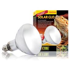 Exo terra solar gebraucht kaufen  Wuppertal