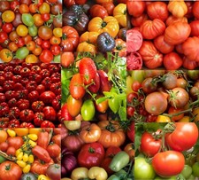 Tomato mix decade for sale  Sevierville