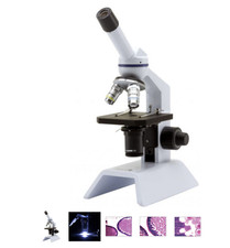 Optika microscope 400 for sale  SALE