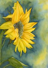 Sunflower botanical watercolou for sale  YEOVIL