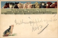 Litho dordrecht südholland gebraucht kaufen  Berlin