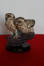 Oiseaux collection d'occasion  Saint-Cannat