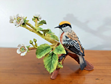 Beautiful rspb franklin for sale  TIVERTON