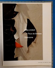 Peinture decollée ernst d'occasion  Beaumont-de-Lomagne