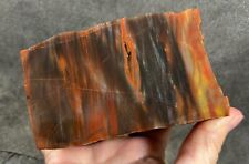 Colorful petrified wood for sale  Fountain Valley