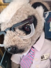 Sergei meerkat collectable for sale Sergei meerkat collectable for sale  NEWCASTLE