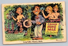 Cartão postal vintage 1942 acampamento nu Dale humor desenho Long Lake Alpena Michigan MI comprar usado  Enviando para Brazil