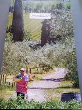 Handbuch fattoria vialla gebraucht kaufen Handbuch fattoria vialla gebraucht kaufen  Deutschland