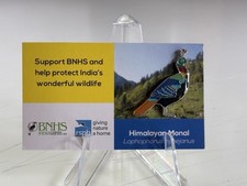 Rspb international himalayan for sale  YORK