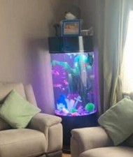 Fish tank used for sale  BRISTOL