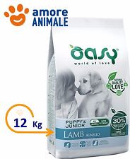 Oasy dry dog usato  Serra de Conti