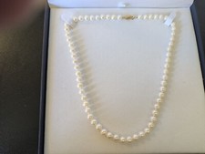 caixa pearl reference comprar usado  Enviando para Brazil