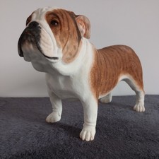 Large best breed for sale  NORWICH