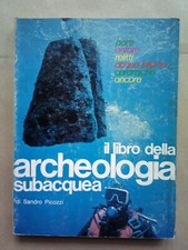 Sandro picozzi libro usato  Italia