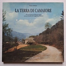 Terra camaiore franco usato  Pietrasanta