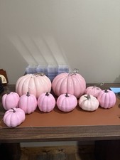 Pink plastic pumpkins for sale  Phelps
