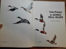 Fulco pratesi della usato  Cento