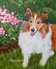 Sheltie pet portrait for sale  Prospect Park