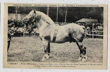 bombes cheval d'occasion bombes cheval d'occasion  France
