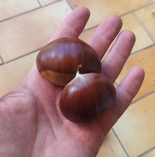 Castagne fresche biologiche usato  Borgo San Dalmazzo