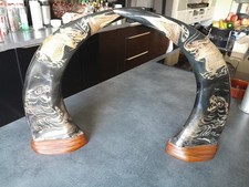 Cornes bœufs sculptées d'occasion Cornes bœufs sculptées d'occasion  Vic-en-Bigorre